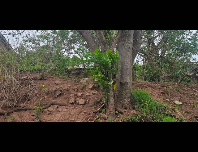 LAND FOR SALE IN WELBEDACHT